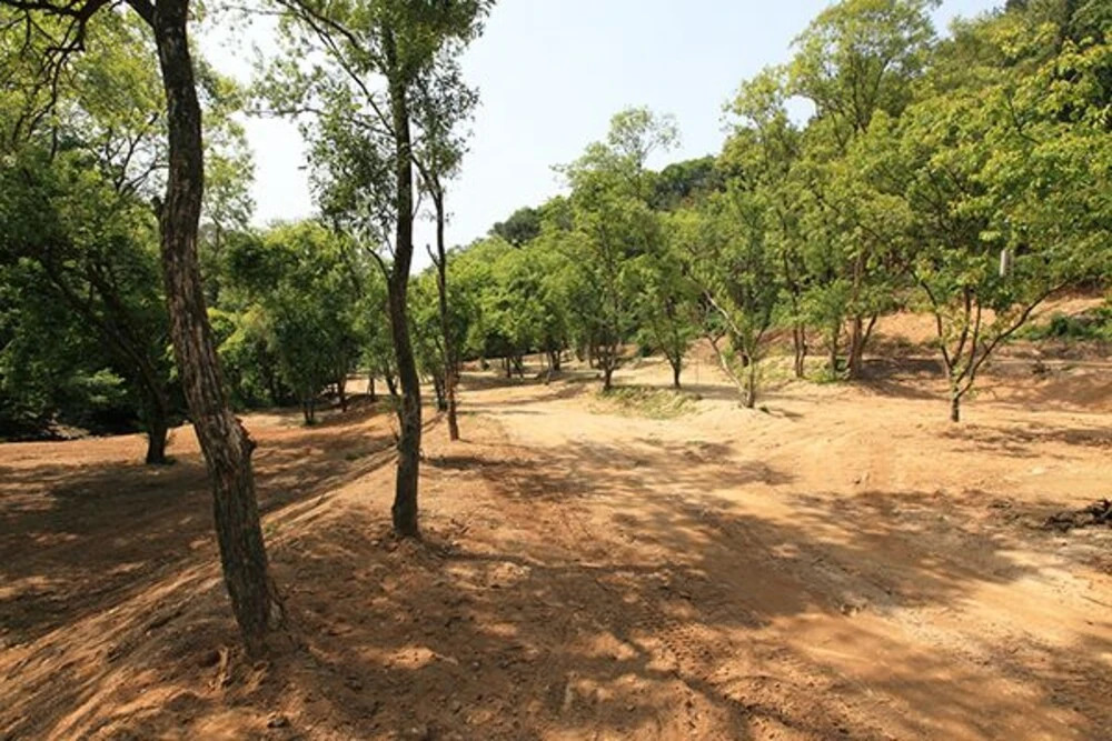 Yangpyeong Saen Farm Pension