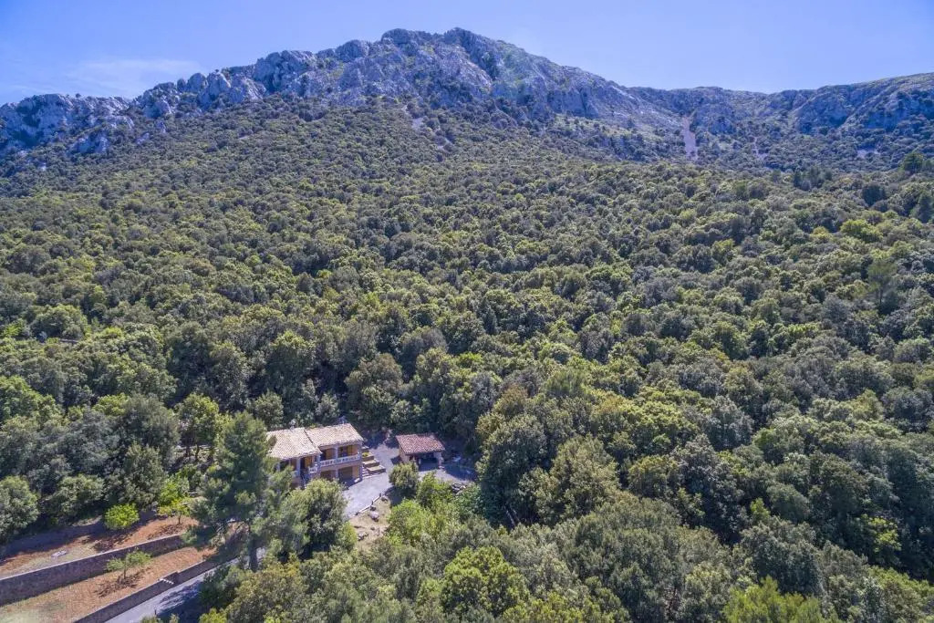 Sa Tramuntana