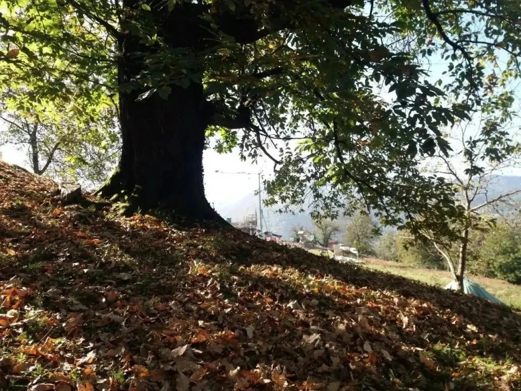 Agriturismo Piane