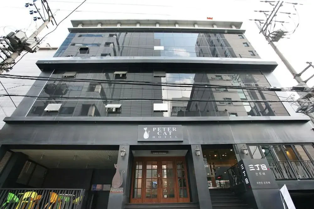 Petercat Hotel Shinchon