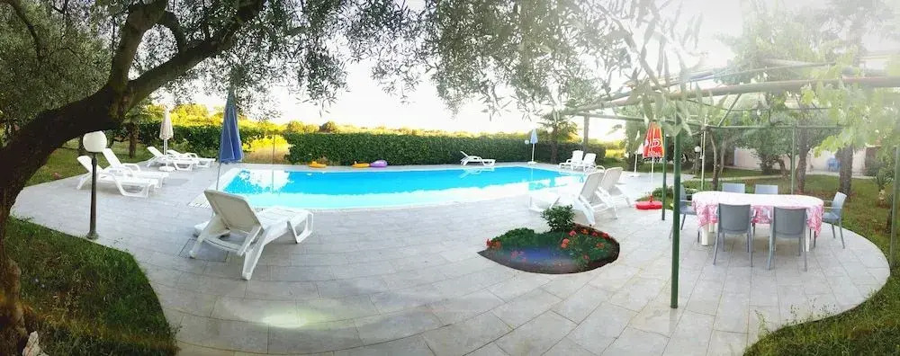 Pansion Margerita