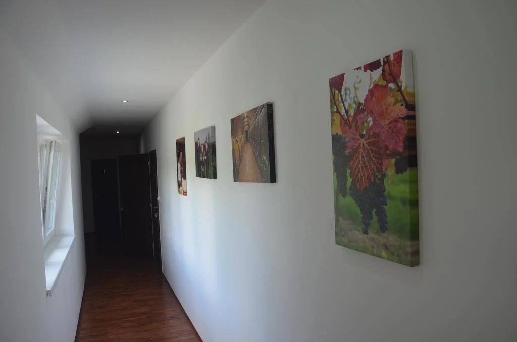 Penzion ve Vinařství Maláník-Osička