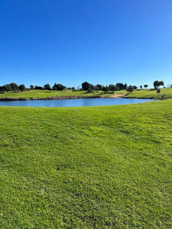 12 A Clube Golfemar