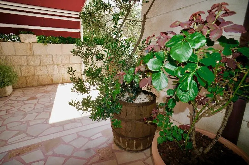 Villa Rustica Dalmatia