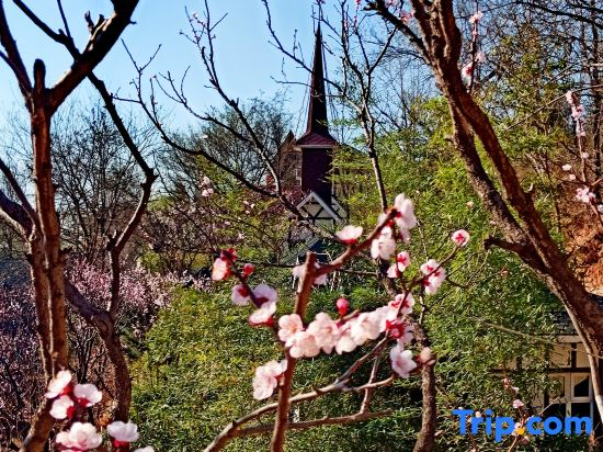 Beijing Tianyu Mountain Villa Resort Hotel (Fangshan Branch)