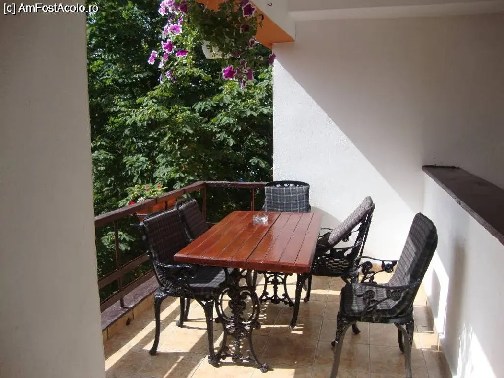 Hotel Camelia