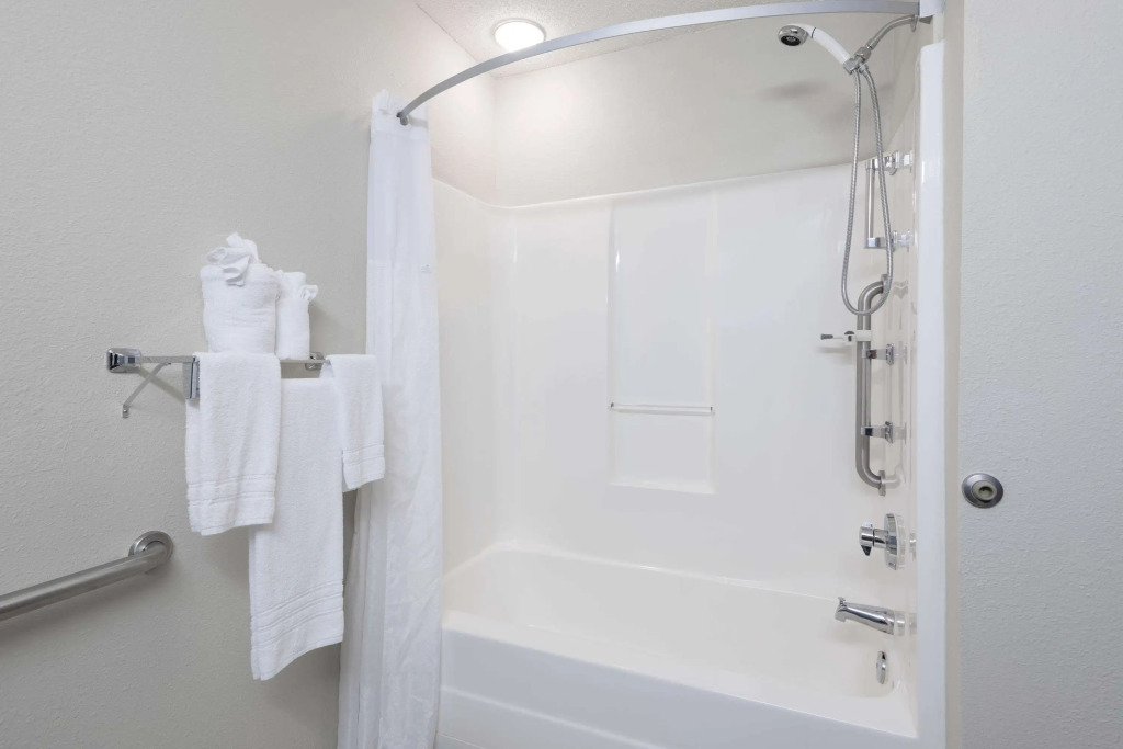 Microtel Inn & Suites - Greenville
