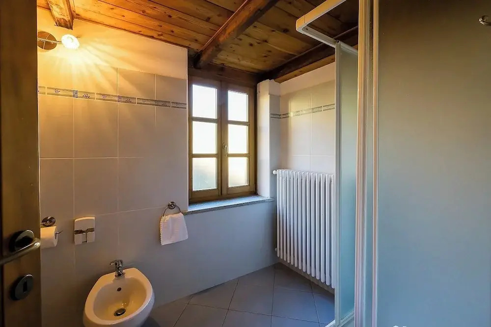 Mirtillo Alpino Casa Vacanze