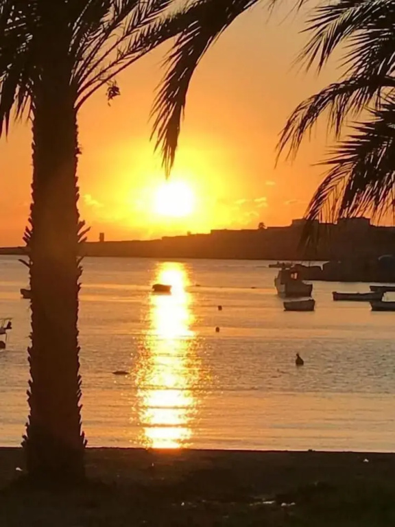 El Mosaico Del Sol