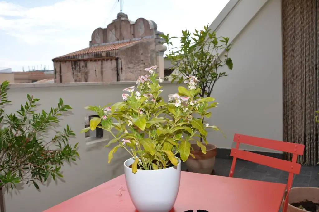 Attico 261 - Penthouse