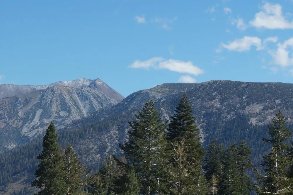 Remodeled 2 Bedroom Condo with Easy Access to Mountain Biking, Swimming, Hiking, Hot Tubs! by RedAwning