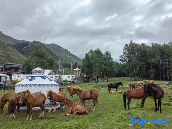 Wutai Mountain Early Planting Late Harvest RV Hotel
