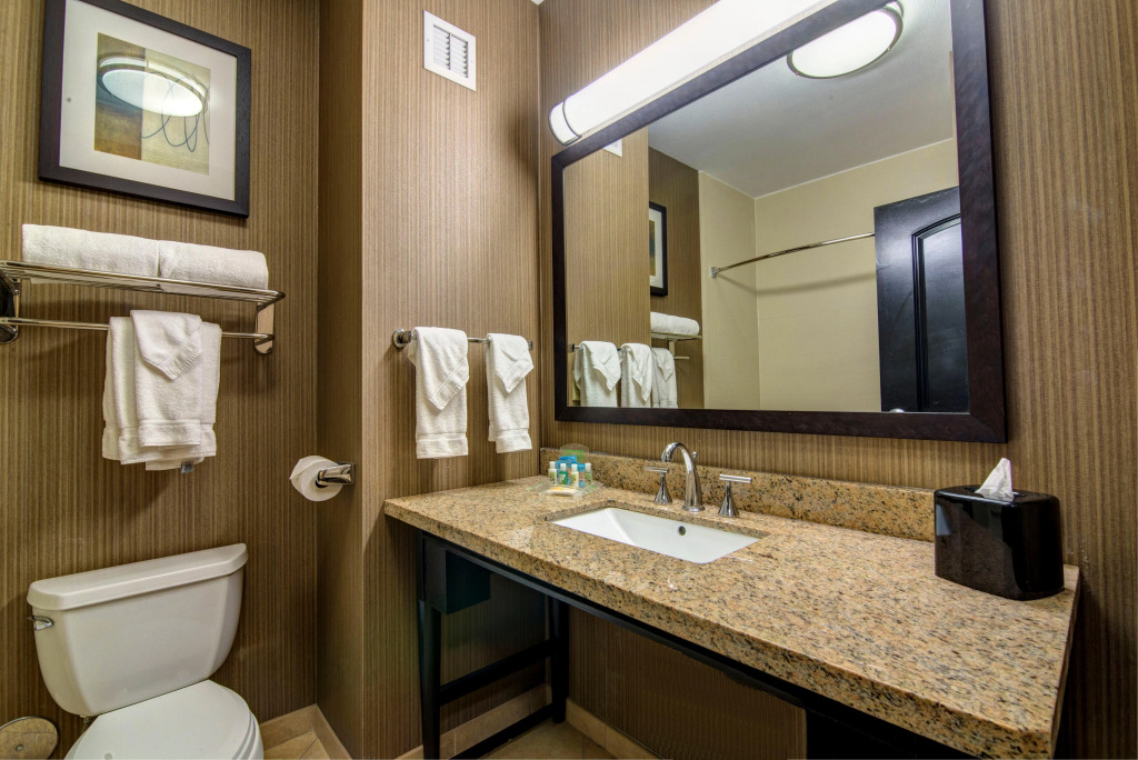 Holiday Inn Arlington NE-Rangers Ballpark by IHG
