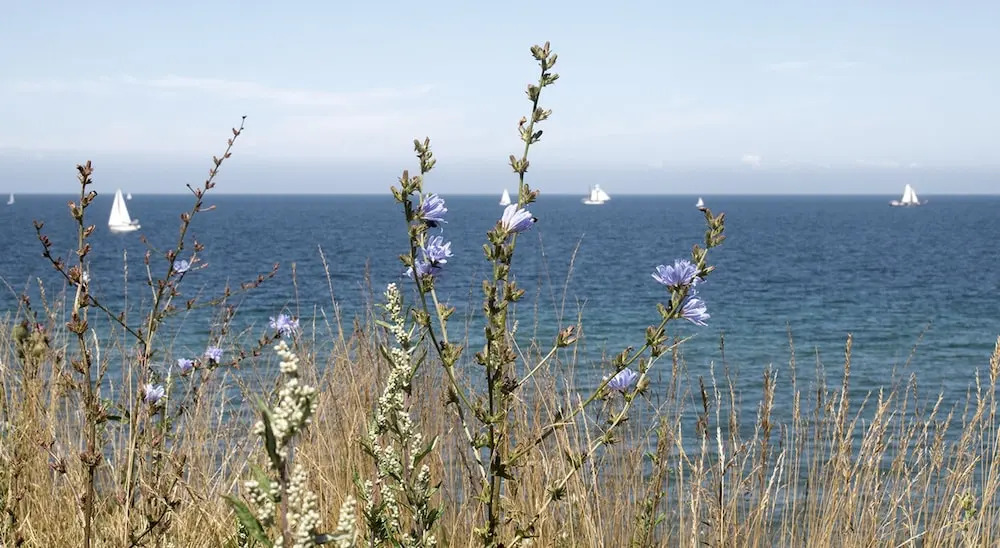 Hotel Strand26 an der Ostsee