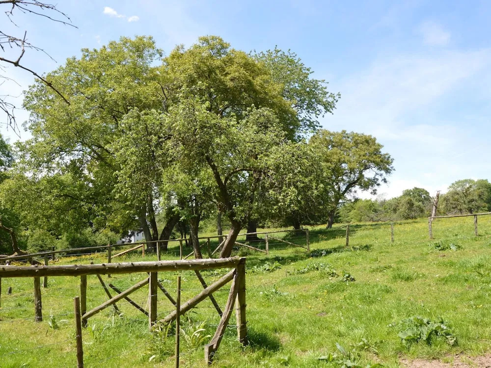 Peaceful Retreat in Ferrieres