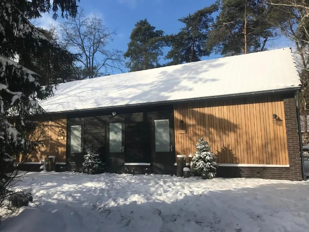 ForRest Suites