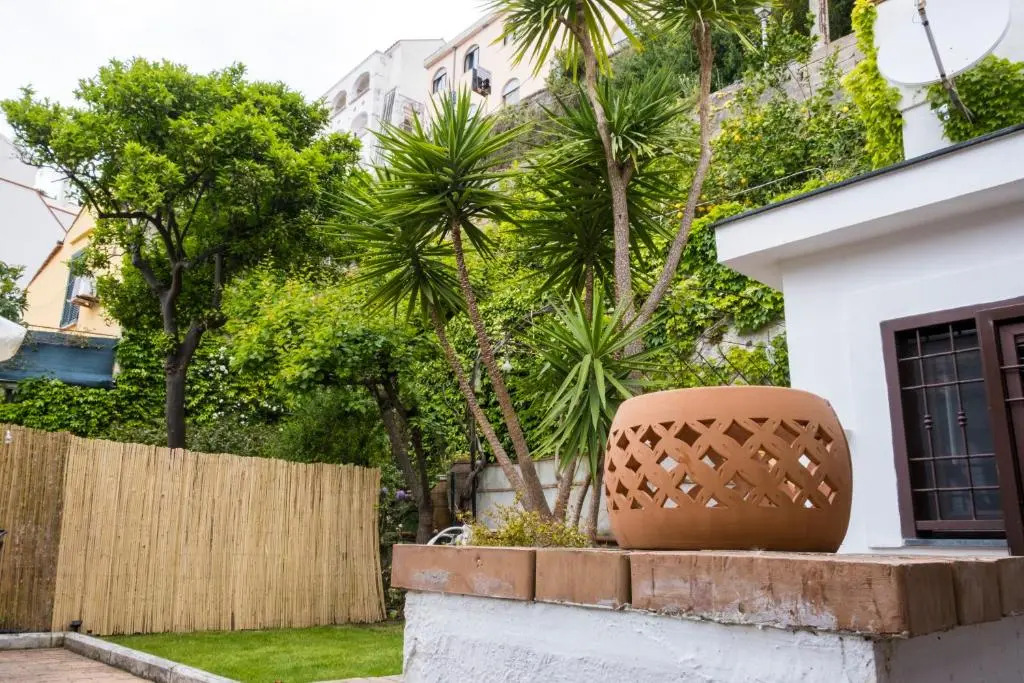 House Garden San Lorenzo