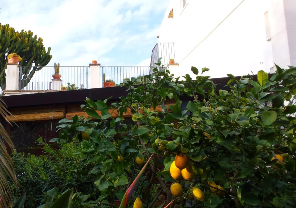 Eurialo Green Suites