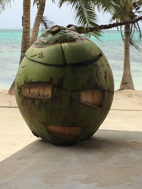 The Palapa House