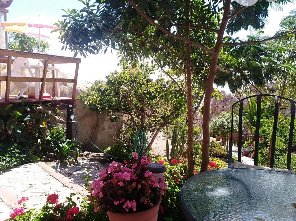 CABAñAS MORENA