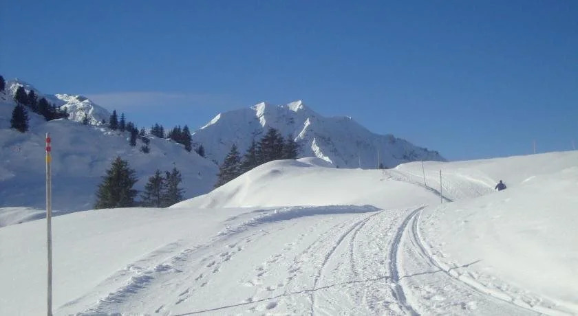 Haus Berghof