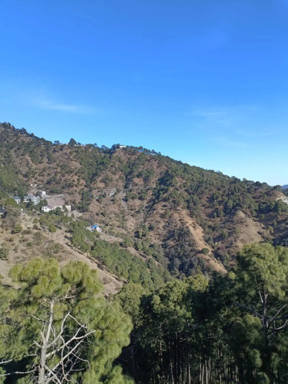 The Lalitas Majestic Pines