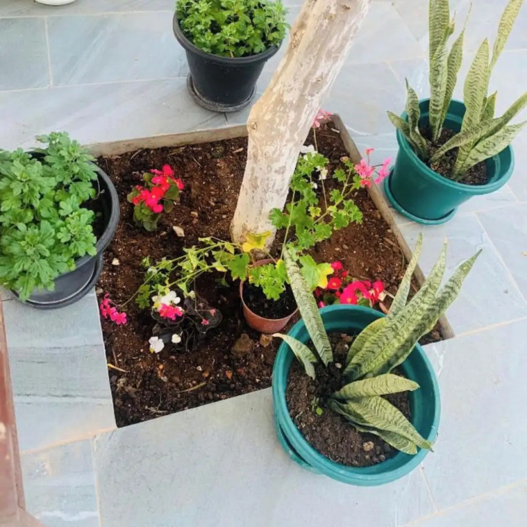 Vila Sofia
