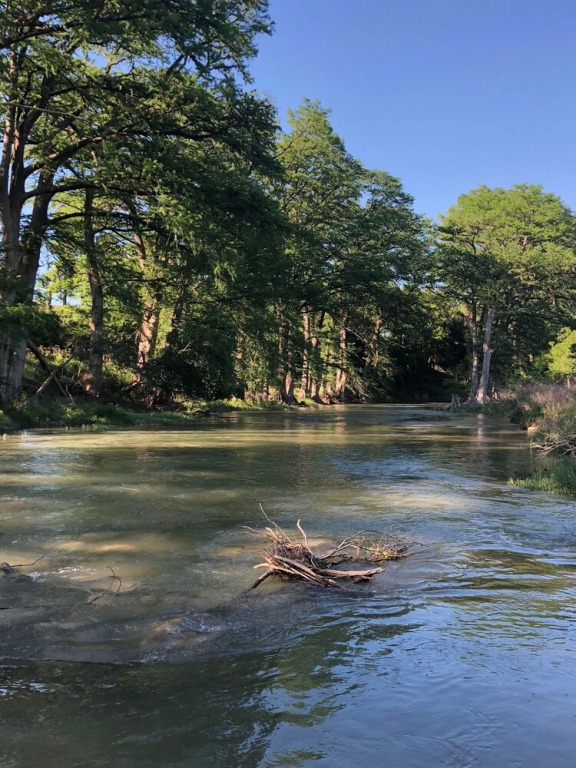 Wild Arrow Ranch