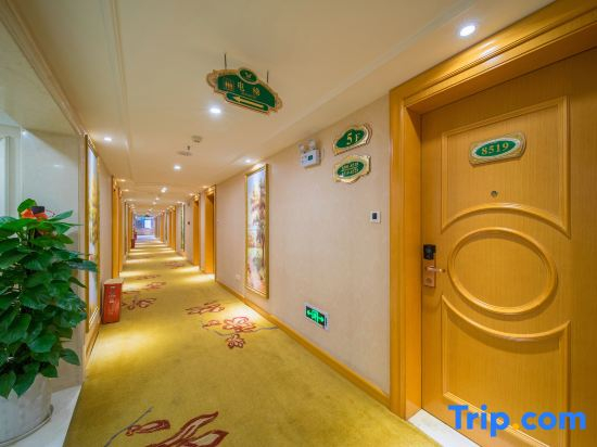 Vienna Hotel (Jishou Qianzhou Ancient City Branch)