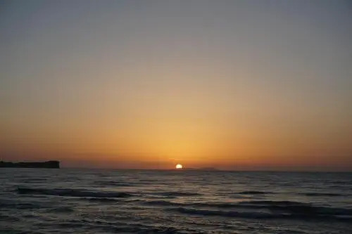 Sun Rose Studios