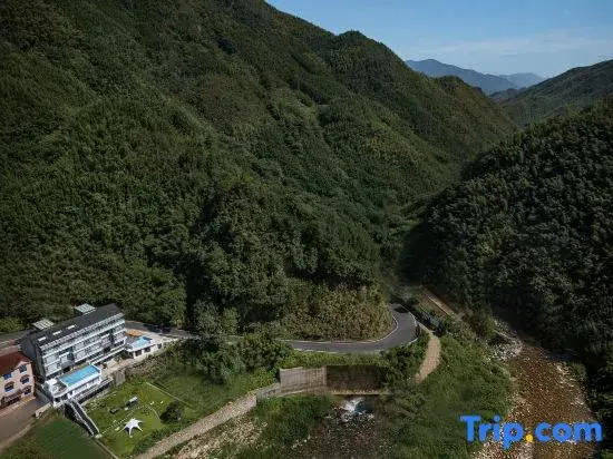 Heart of Forest Homestay