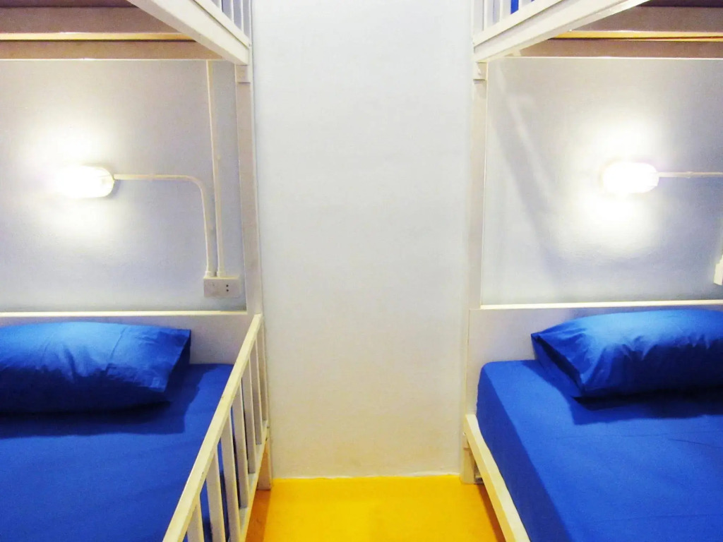 Treechart Hostel