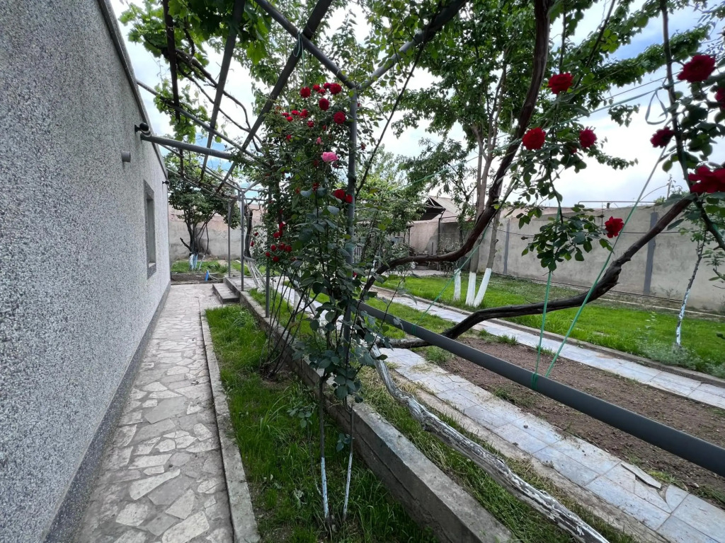 Sunny garden