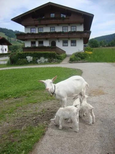 Sixenhof