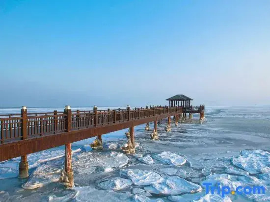 Yuanyang · Seatopia Homestay