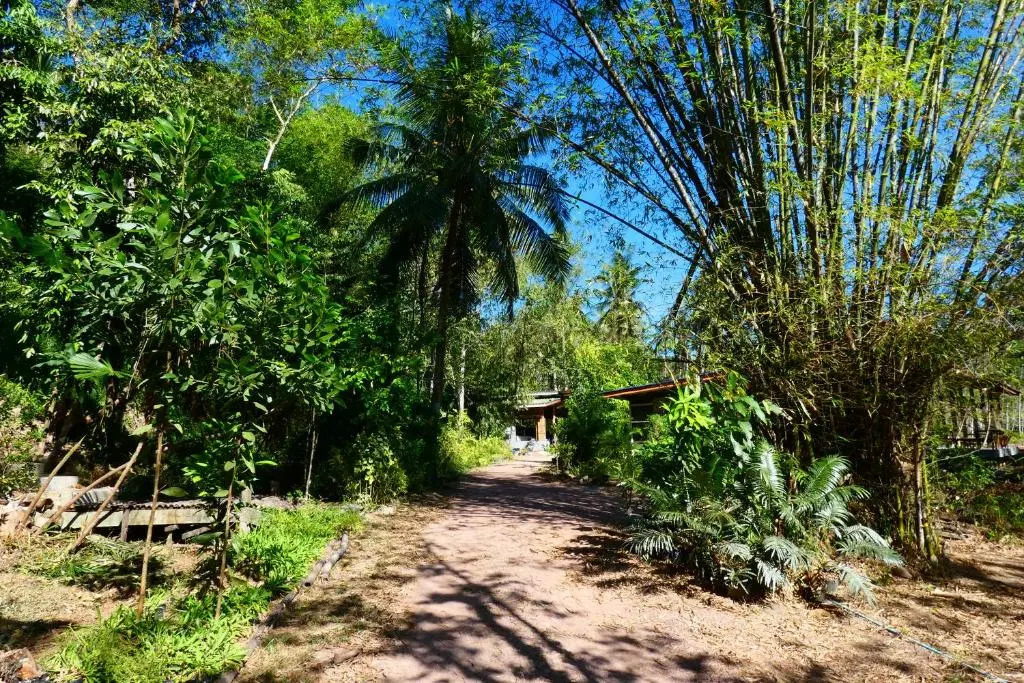 Chom Suan Farmstay