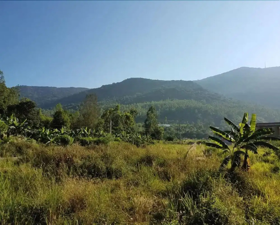 C Hostel