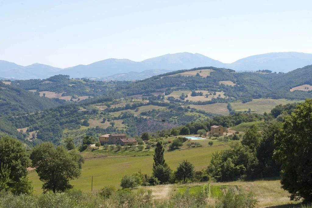 Tenuta di Biscina