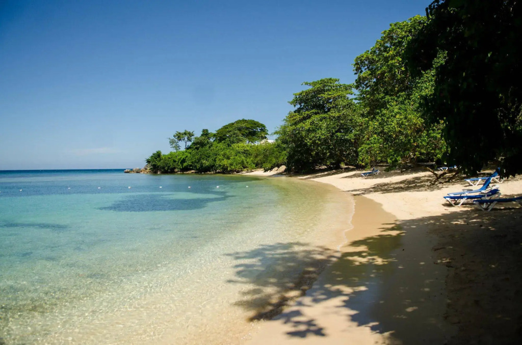 Seas the Day Sanctuary