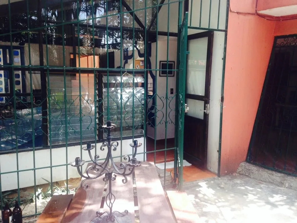 Bed and Breakfast Garden