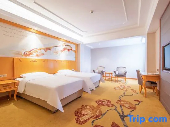 Vienna International Hotel (Qionghai Zhenhai Road)