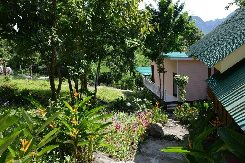 Phi Phi Jungle Hill Bungalow