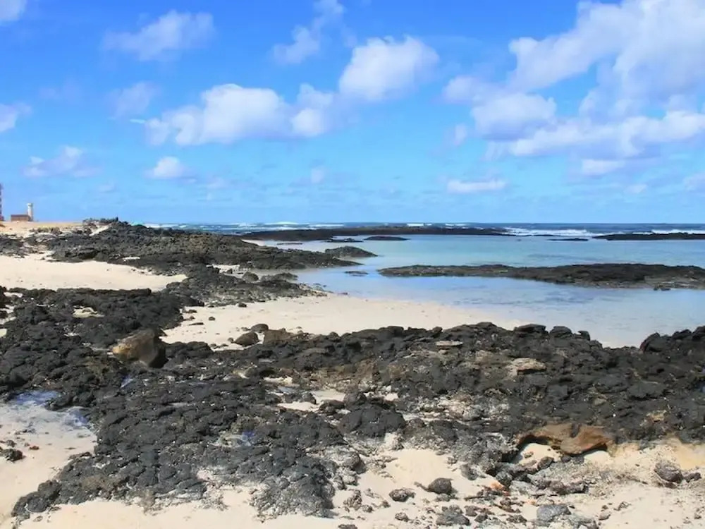 Bravo´s Aparment Cotillo 2