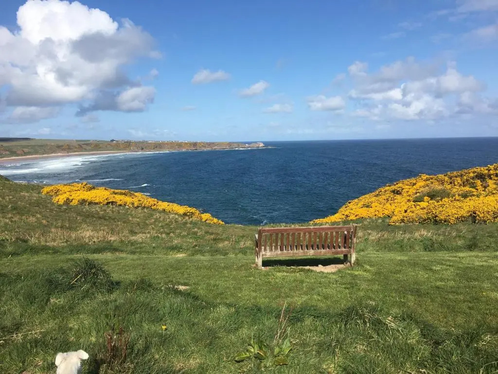 Zen Cottage Cullen - Sleeps 4 Garden & Pets Ok