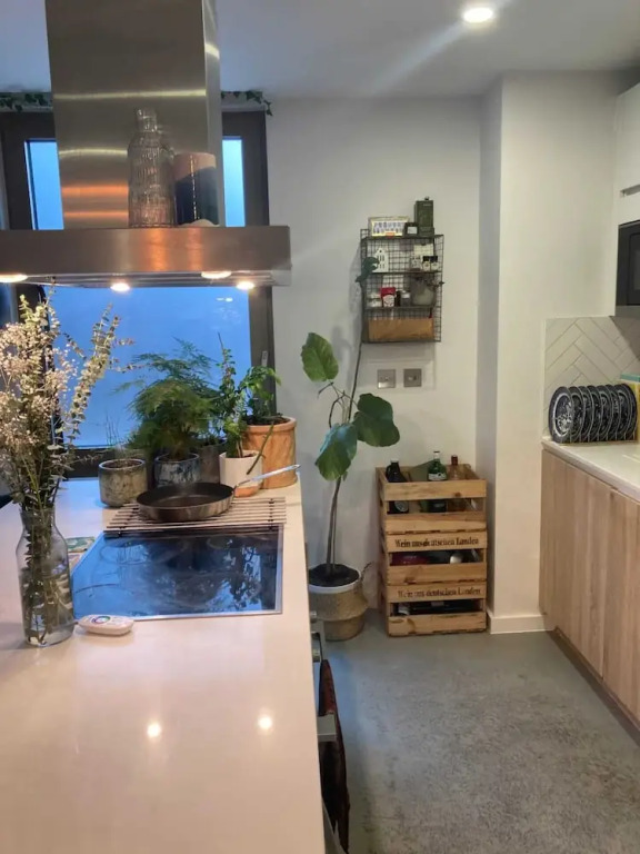 Pet Friendly 1 Bedroom Apartment in London Fields