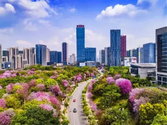 Xingxing Apartment