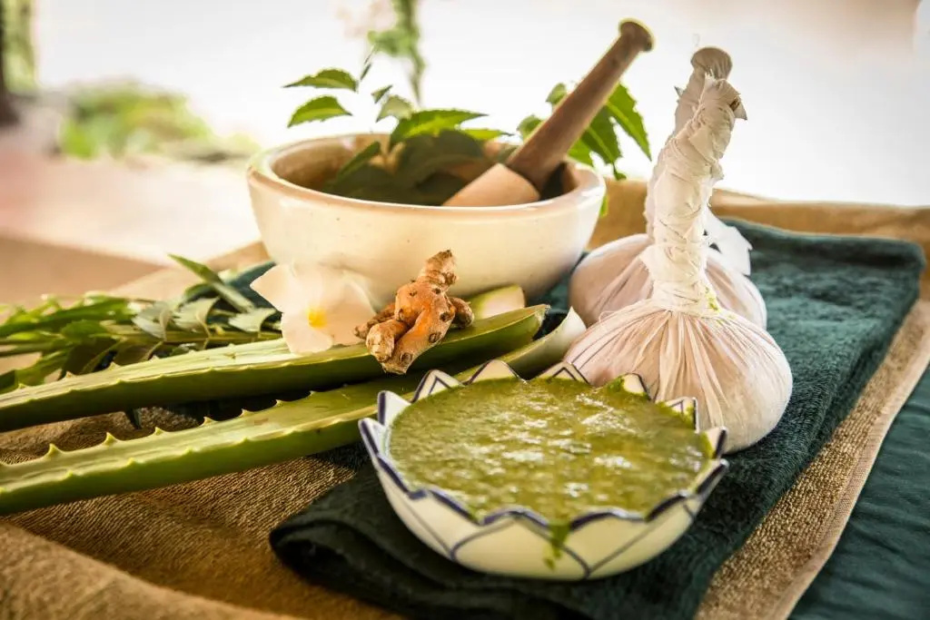 Ayurveda Kuren Maho