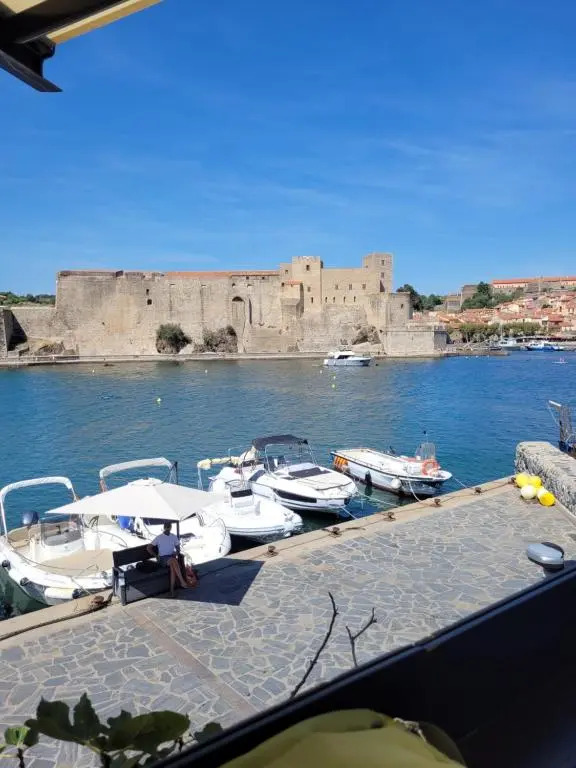 COLLIOURE tres bel appart a 150 metres des plages avec jardin prive et parking dans residence securisee