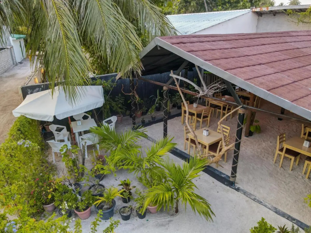 Turtle Maldives - Your Gateway to the Beach & Marine Adventures Await