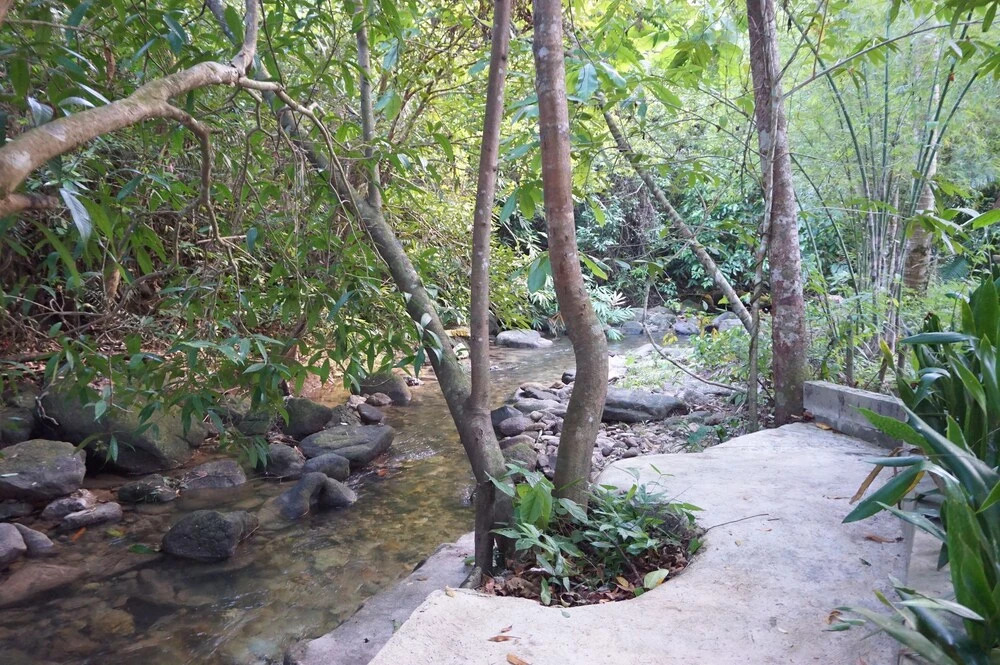 Bannaimong Treehouse